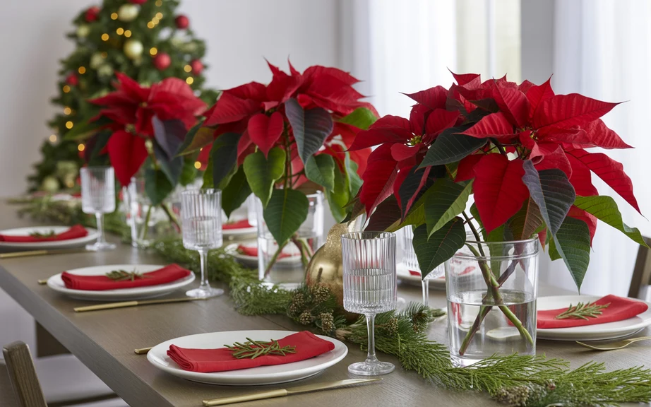 Poinsettia-Inspired Holiday Table Styling