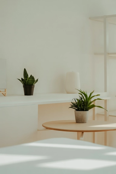 Keep Plant Displays Simple on Shelves and Tables