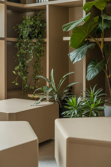 Use Plants to Soften Hard Edges and Lines